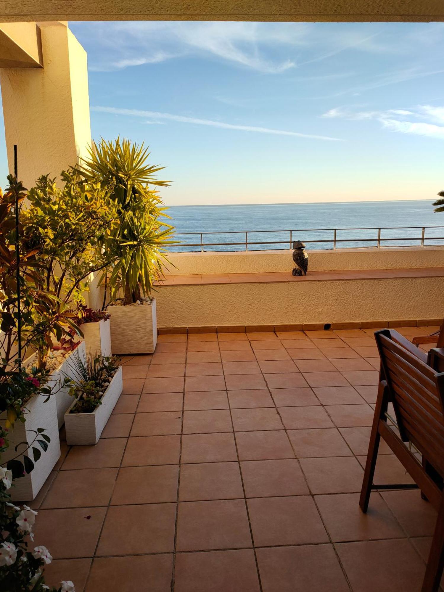 Piso en la primera linea del mar con 2 dormitorios Benidorm Exterior foto